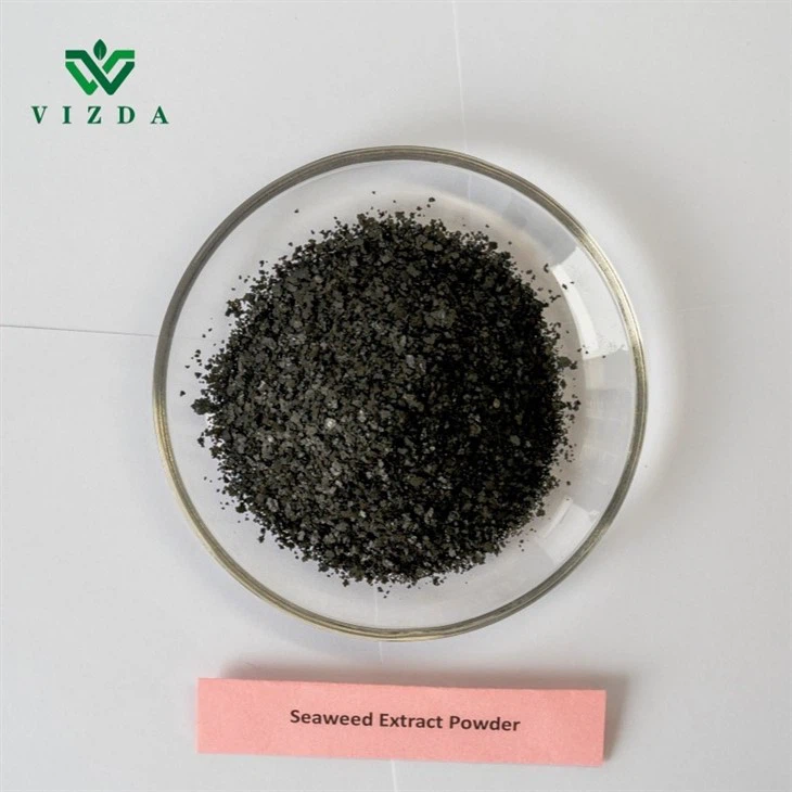 Algae Fertilizer Seaweed Extract