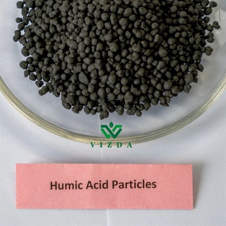 Humic Acid Black Granular