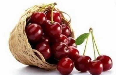90% чилійської експортованої вишні закуповується Китаєм