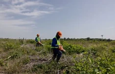 Бразилія розробляє зброю для торговельних війн: добрива в Амазонії